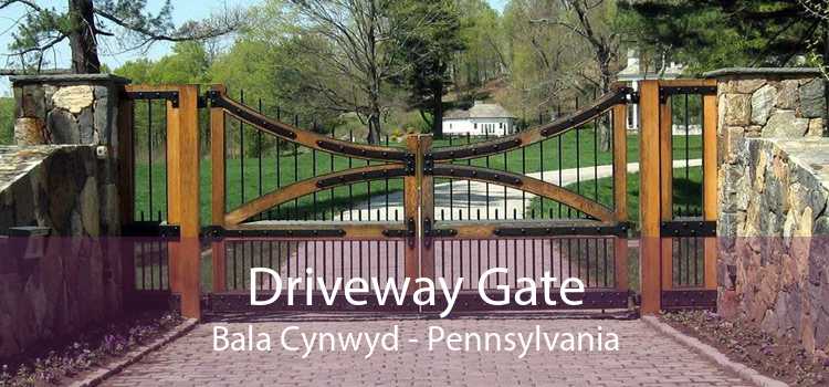 Driveway Gate Bala Cynwyd - Pennsylvania
