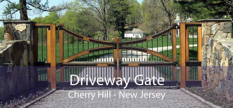 Driveway Gate Cherry Hill - New Jersey