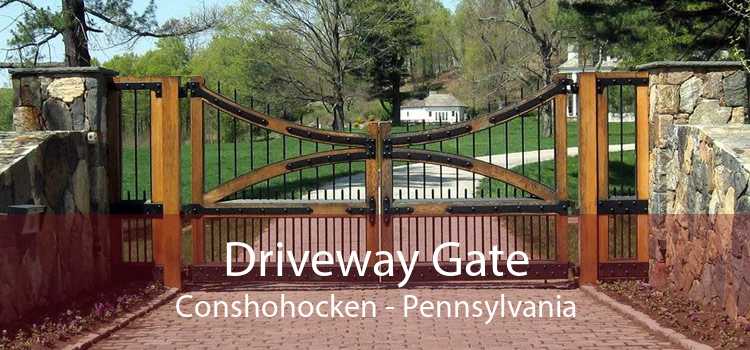 Driveway Gate Conshohocken - Pennsylvania