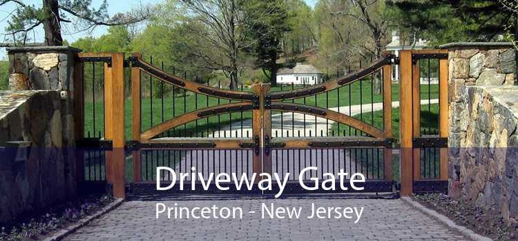 Driveway Gate Princeton - New Jersey