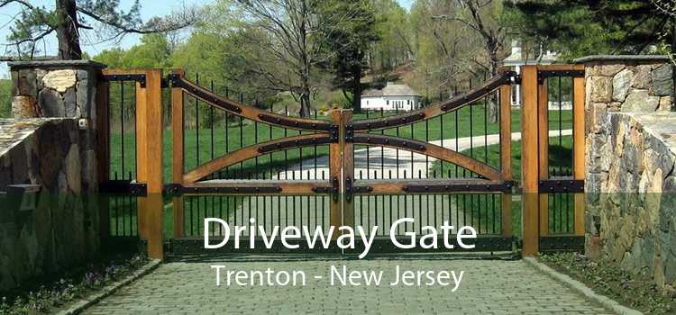 Driveway Gate Trenton - New Jersey