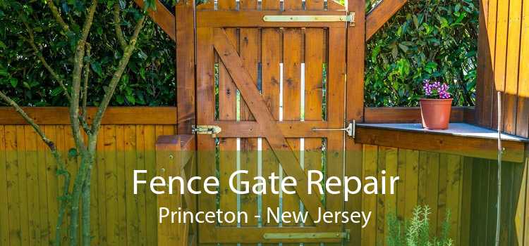 Fence Gate Repair Princeton - New Jersey