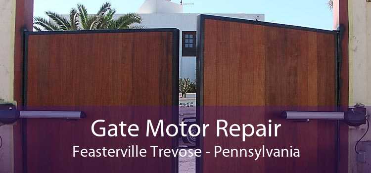 Gate Motor Repair Feasterville Trevose - Pennsylvania