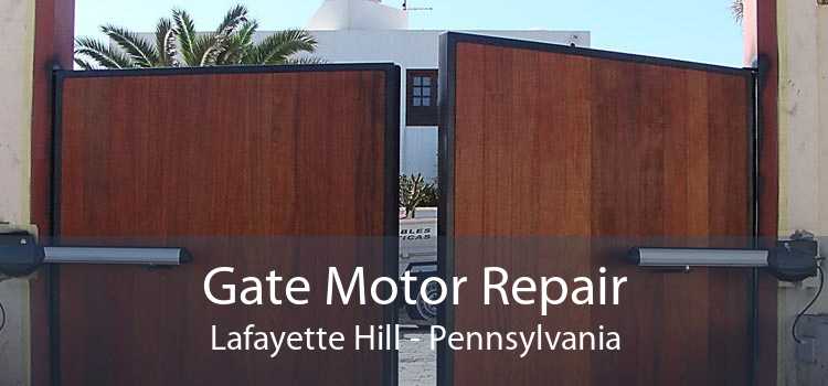 Gate Motor Repair Lafayette Hill - Pennsylvania