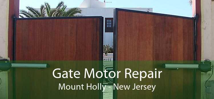 Gate Motor Repair Mount Holly - New Jersey