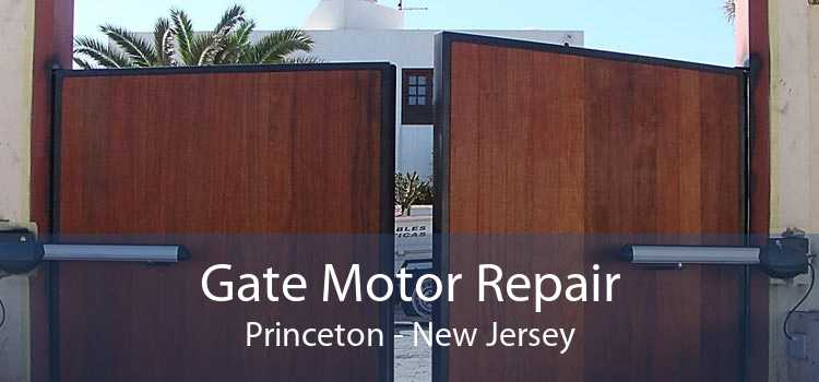 Gate Motor Repair Princeton - New Jersey