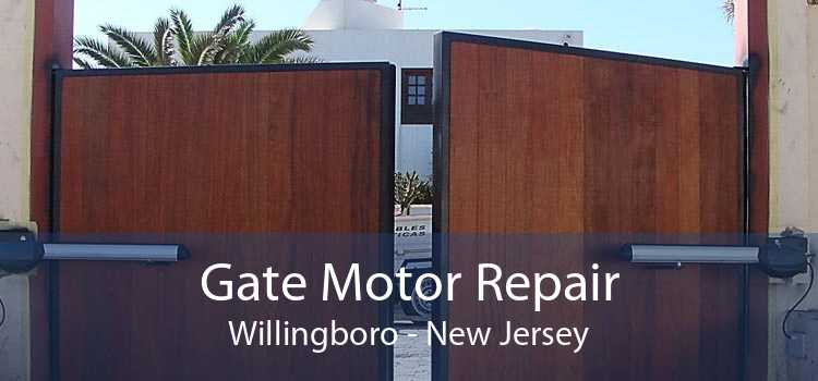 Gate Motor Repair Willingboro - New Jersey