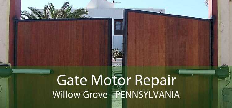 Gate Motor Repair Willow Grove - Pennsylvania