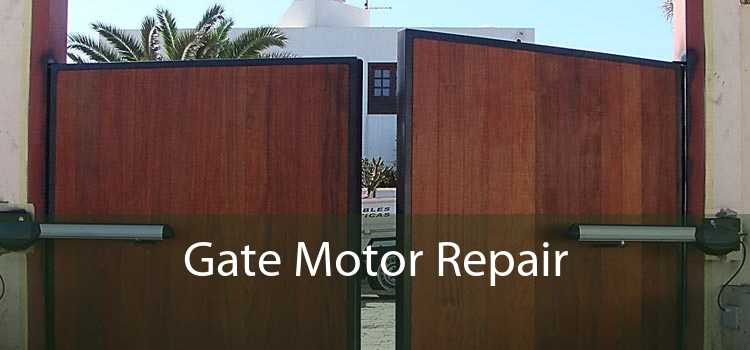 Gate Motor Repair 