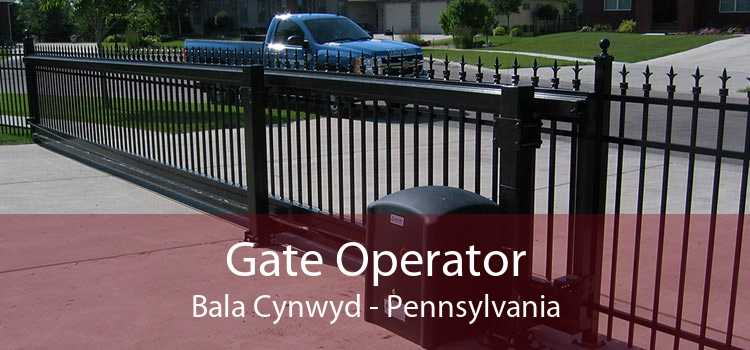 Gate Operator Bala Cynwyd - Pennsylvania