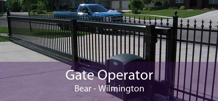 Gate Operator Bear - Wilmington