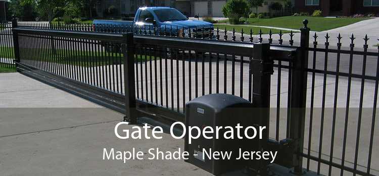 Gate Operator Maple Shade - New Jersey