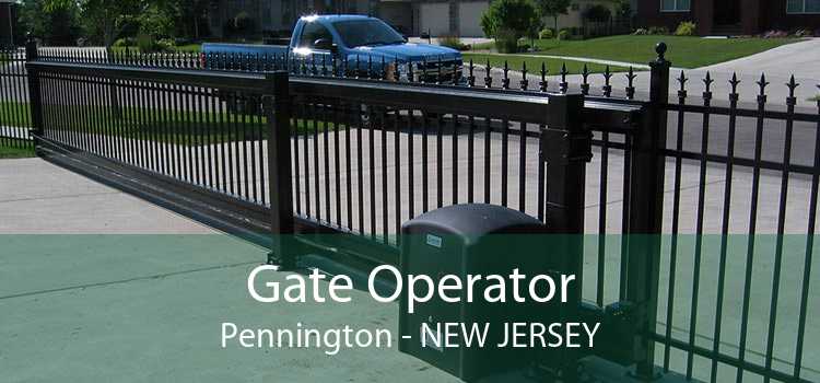 Gate Operator Pennington - New Jersey