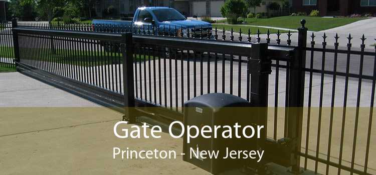 Gate Operator Princeton - New Jersey