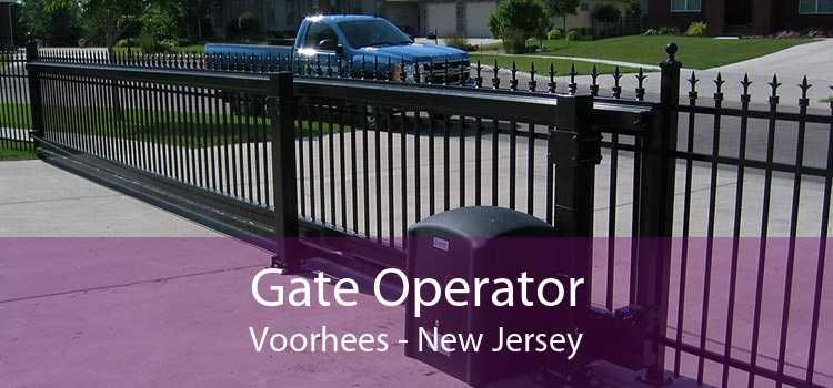 Gate Operator Voorhees - New Jersey