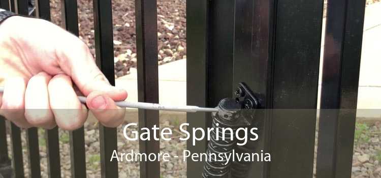 Gate Springs Ardmore - Pennsylvania