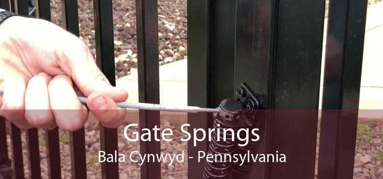 Gate Springs Bala Cynwyd - Pennsylvania