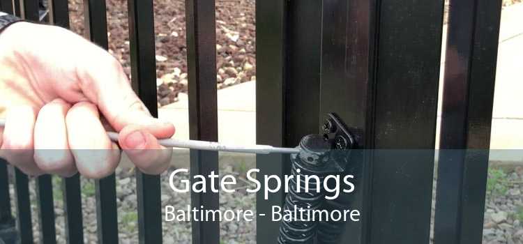 Gate Springs Baltimore - Baltimore