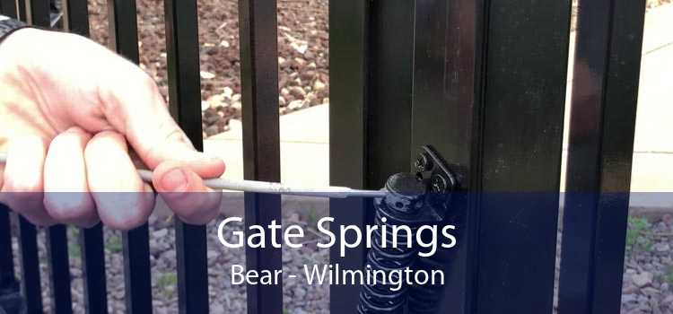 Gate Springs Bear - Wilmington