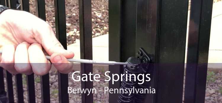 Gate Springs Berwyn - Pennsylvania