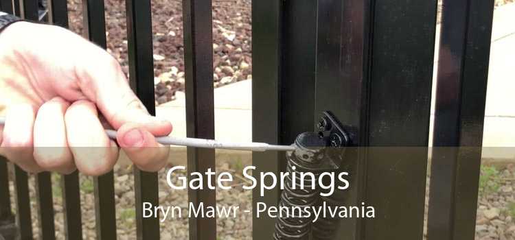Gate Springs Bryn Mawr - Pennsylvania