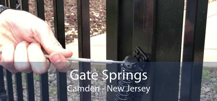 Gate Springs Camden - New Jersey