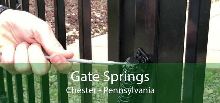 Gate Springs Chester - Pennsylvania