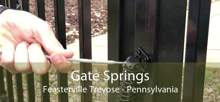 Gate Springs Feasterville Trevose - Pennsylvania