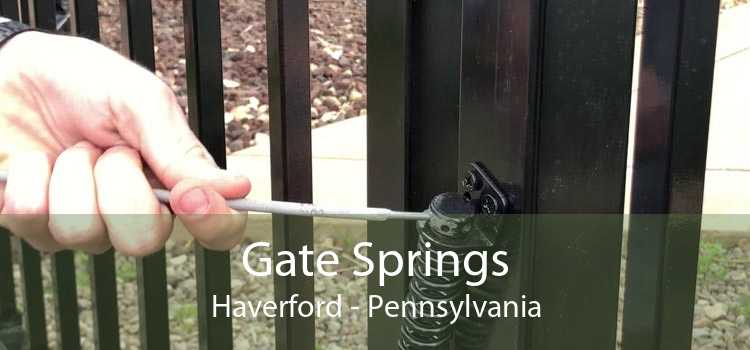 Gate Springs Haverford - Pennsylvania