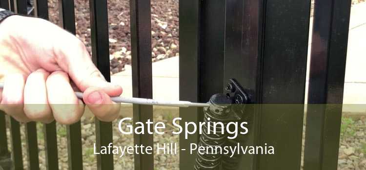 Gate Springs Lafayette Hill - Pennsylvania