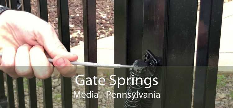 Gate Springs Media - Pennsylvania