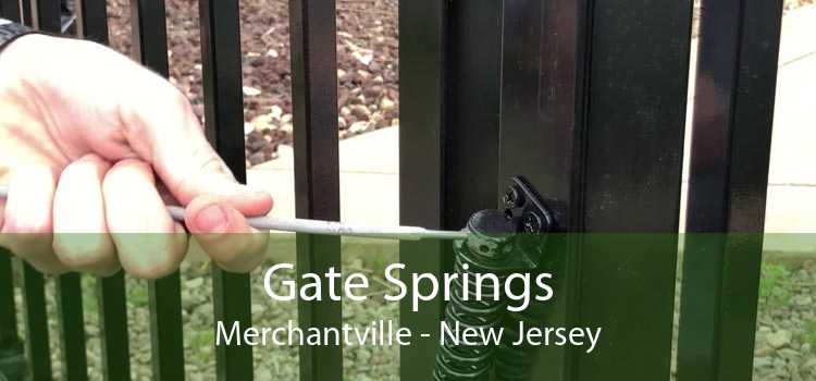 Gate Springs Merchantville - New Jersey