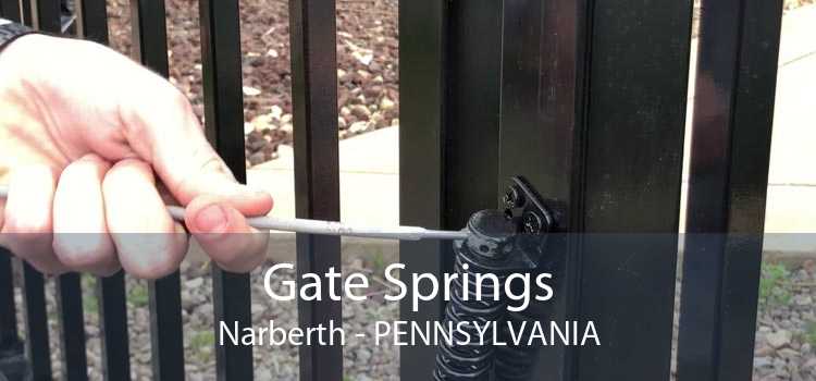 Gate Springs Narberth - Pennsylvania