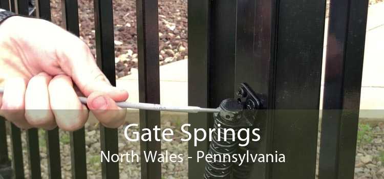 Gate Springs North Wales - Pennsylvania
