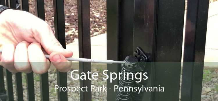 Gate Springs Prospect Park - Pennsylvania