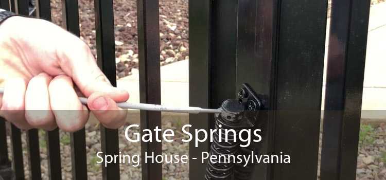 Gate Springs Spring House - Pennsylvania