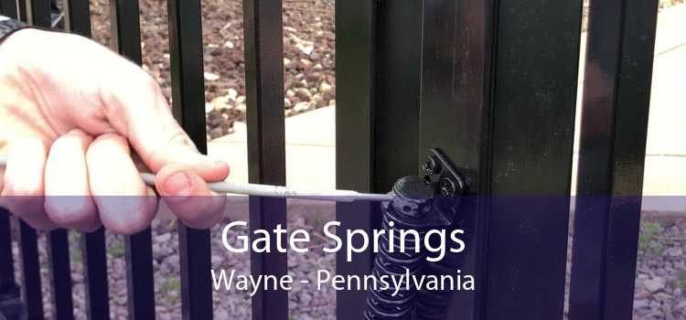 Gate Springs Wayne - Pennsylvania
