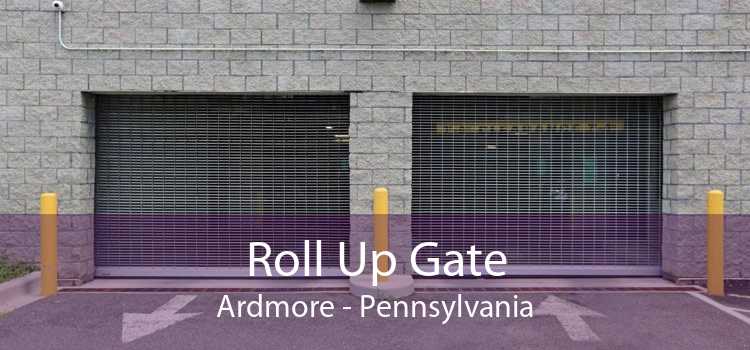 Roll Up Gate Ardmore - Pennsylvania