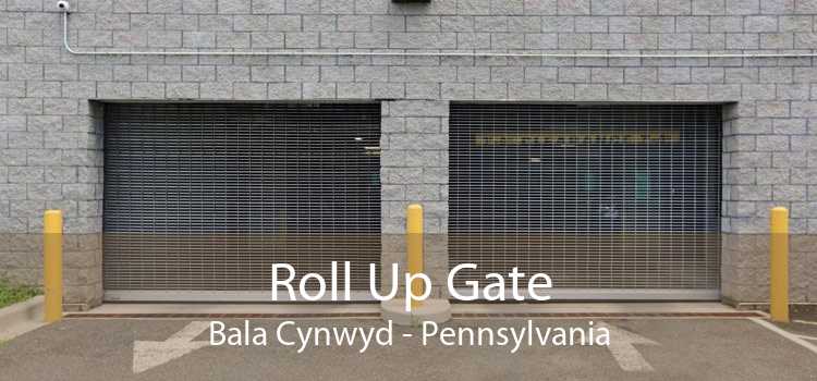 Roll Up Gate Bala Cynwyd - Pennsylvania