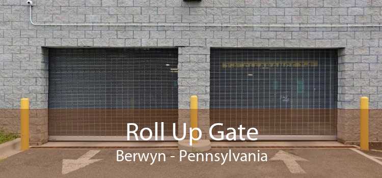 Roll Up Gate Berwyn - Pennsylvania