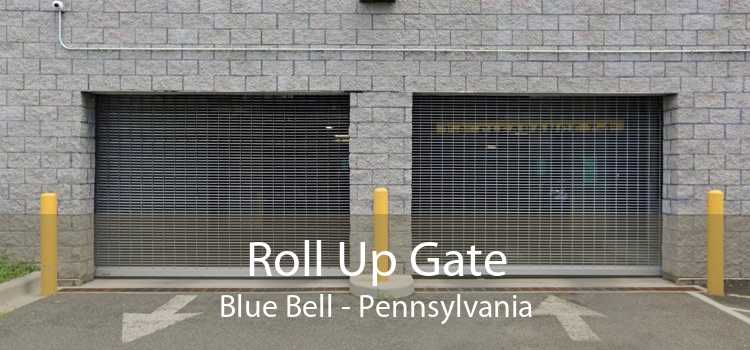 Roll Up Gate Blue Bell - Pennsylvania