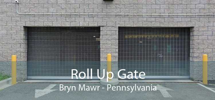Roll Up Gate Bryn Mawr - Pennsylvania