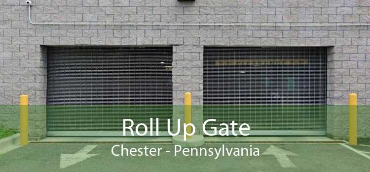 Roll Up Gate Chester - Pennsylvania