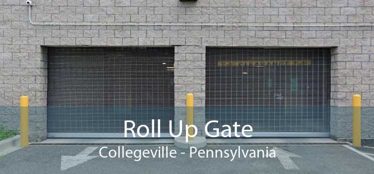 Roll Up Gate Collegeville - Pennsylvania
