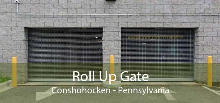 Roll Up Gate Conshohocken - Pennsylvania
