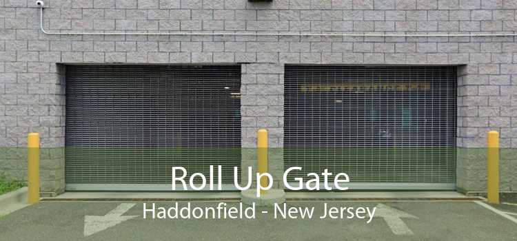 Roll Up Gate Haddonfield - New Jersey