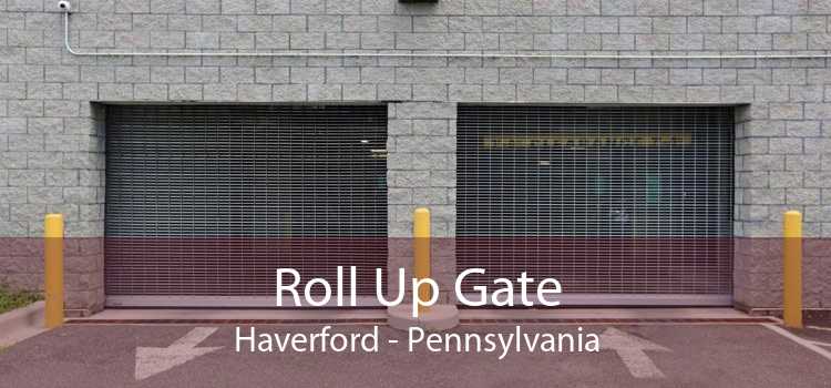Roll Up Gate Haverford - Pennsylvania