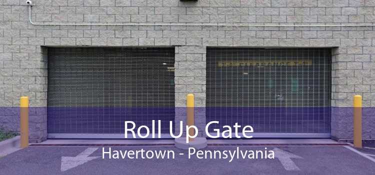 Roll Up Gate Havertown - Pennsylvania