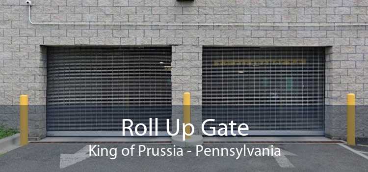 Roll Up Gate King of Prussia - Pennsylvania