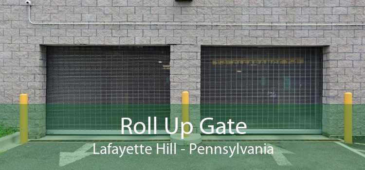 Roll Up Gate Lafayette Hill - Pennsylvania